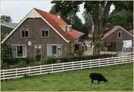 A Dutch farm
