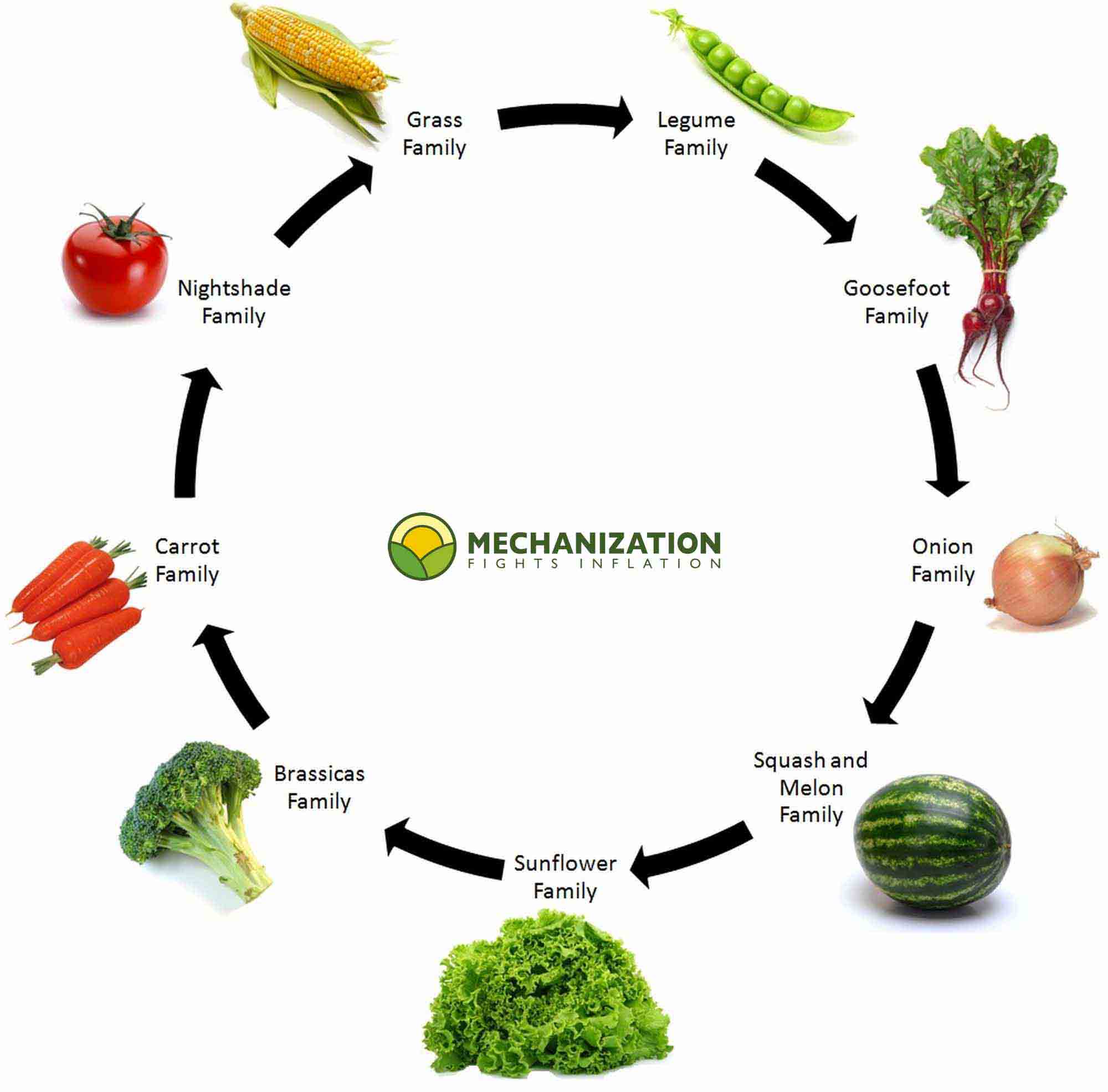 Crop rotation guide