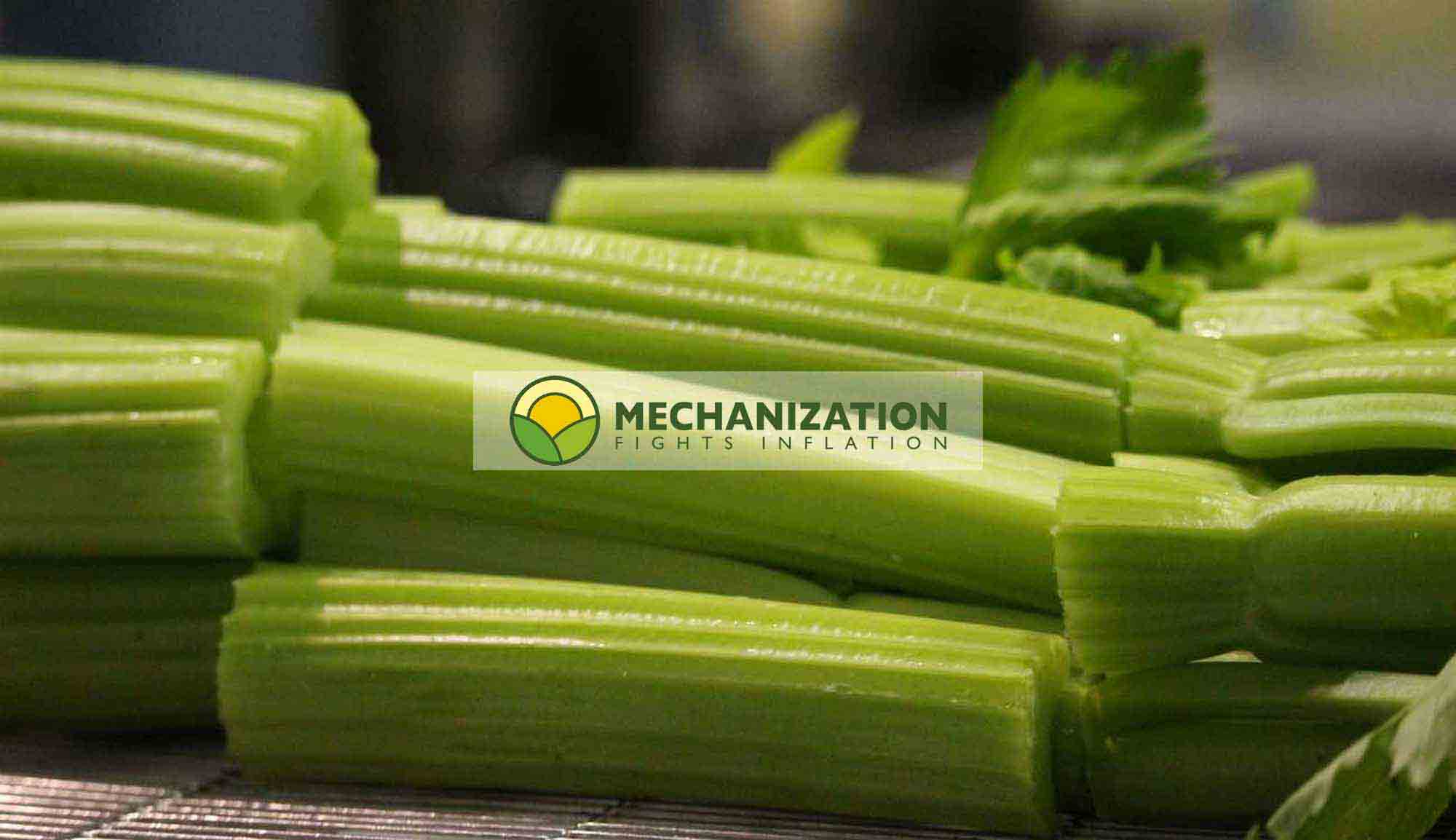 Vegetable slicing and dicing equipment
