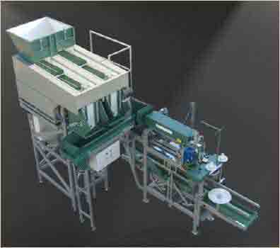 Weighing and packing line with a DOUBLE lectronic weigher and a JN-ZK1 bagging machine.