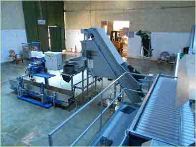 
SKALS weigher bagger in place