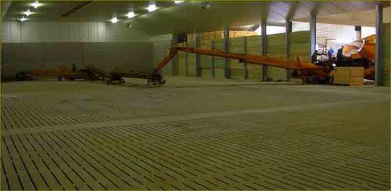 Filling a 10.000 ton potato bulk storage